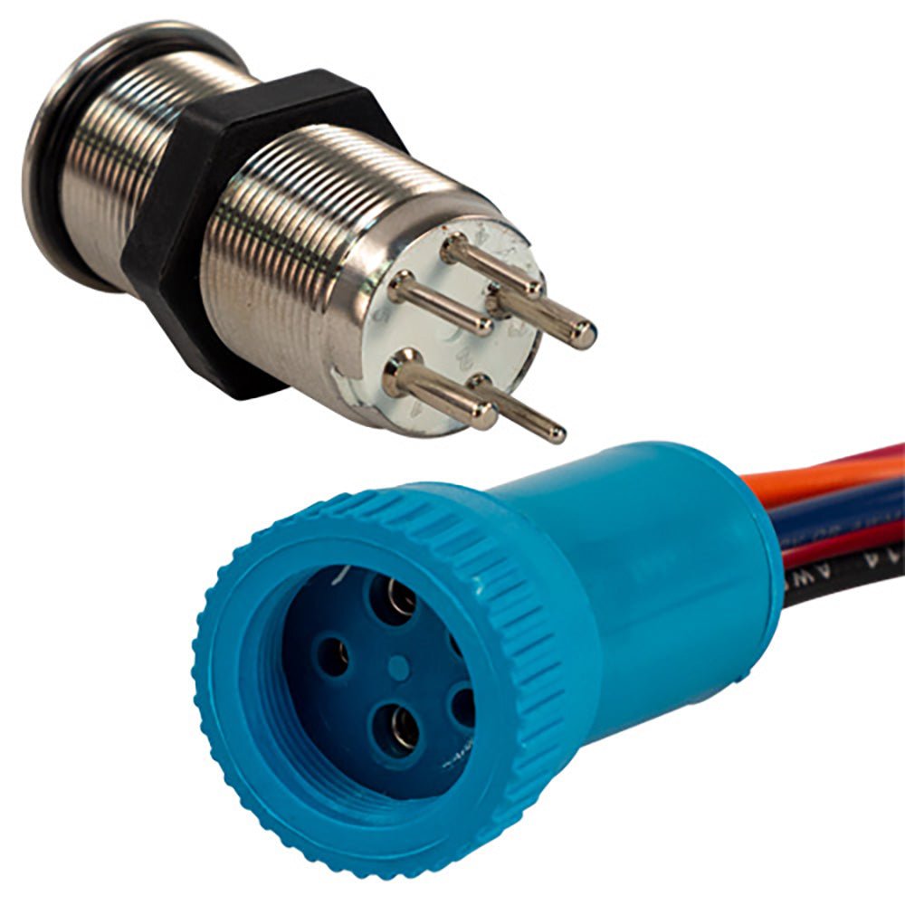 Bluewater 19mm Push Button Switch - Off/(On) Momentary Contact - Blue/Red LED - 4' Lead [9057-2113-4] - The Happy Skipper