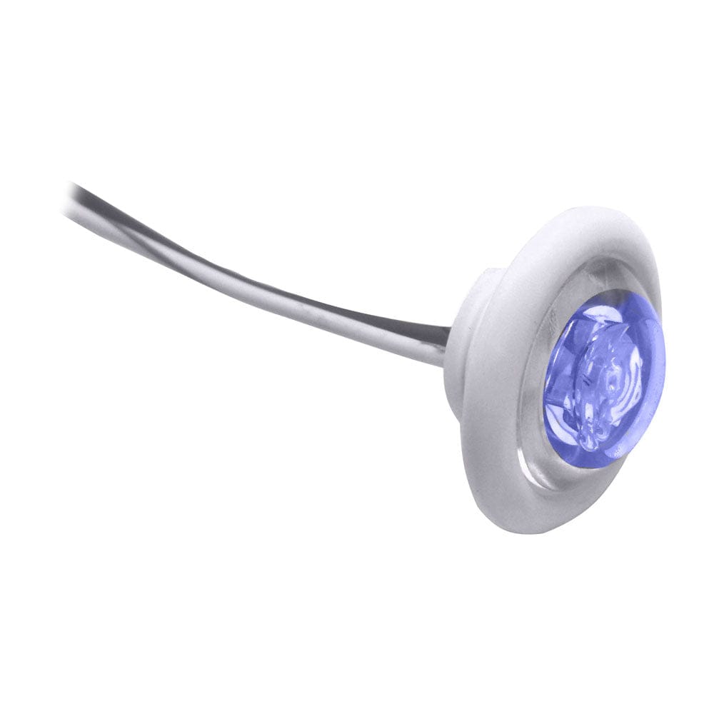 Innovative Lighting LED Bulkhead/Livewell Light "The Shortie" Blue LED w/ White Grommet [011-2540-7] - The Happy Skipper