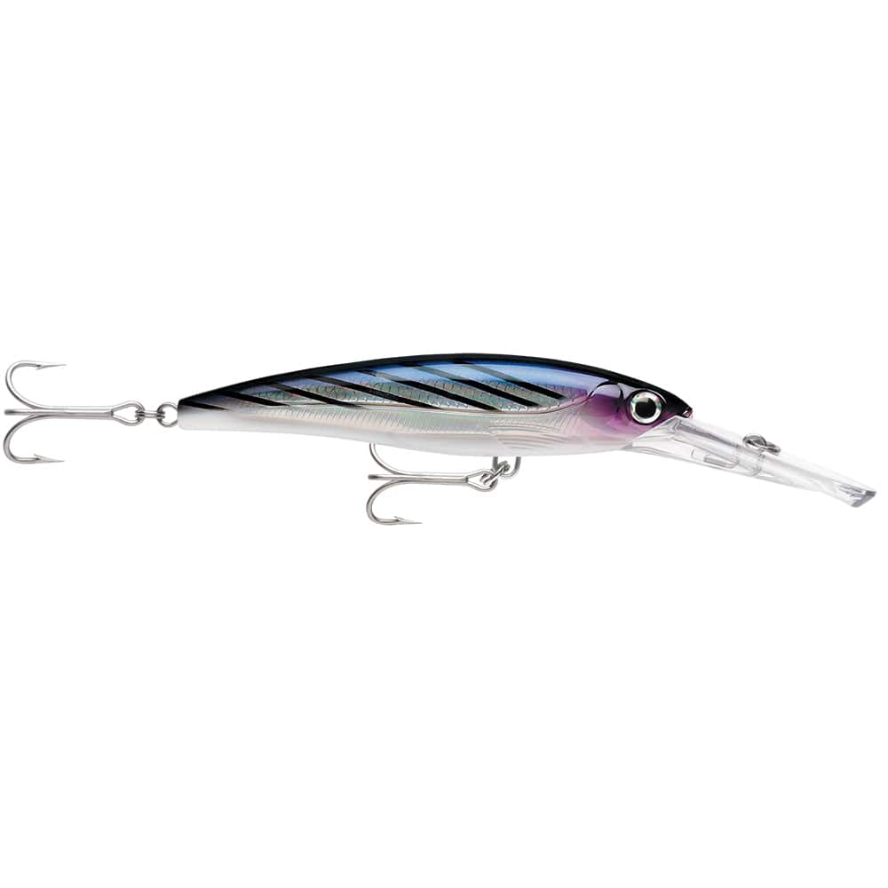 Rapala X-Rap Magnum 15 Bonito [XRMAG15BTO] - The Happy Skipper