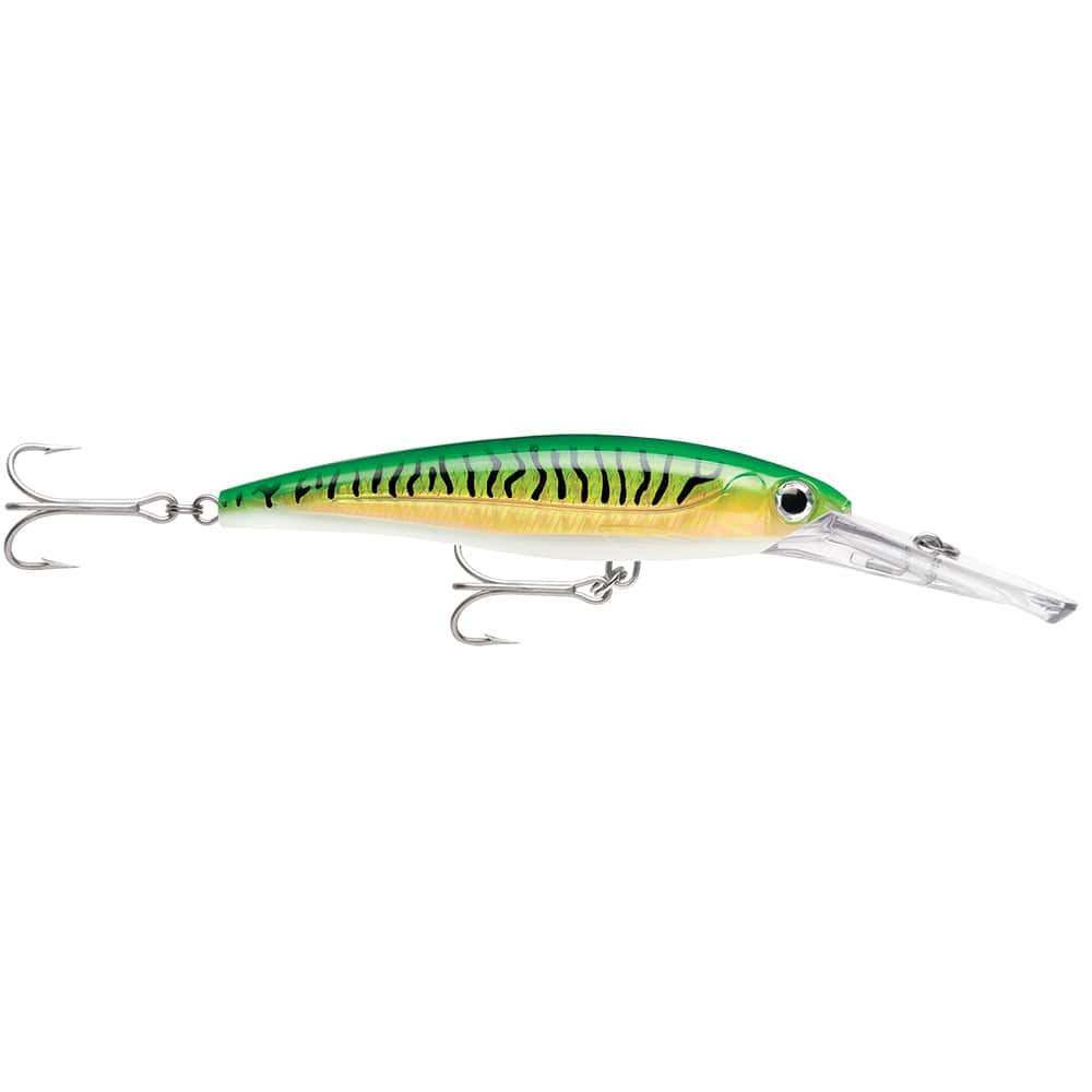 Rapala X-Rap Magnum 15 Gold Green Mackerel [XRMAG15GGM] - The Happy Skipper