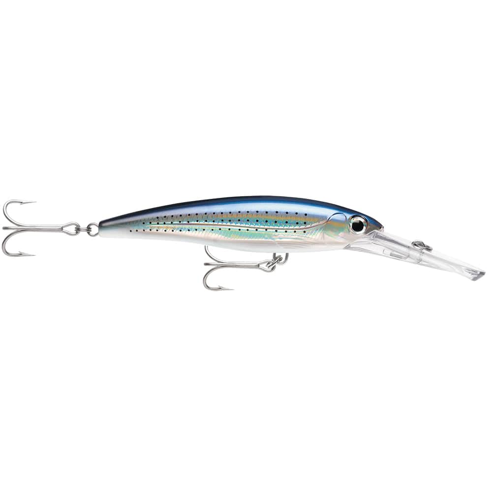 Rapala X-Rap Magnum 15 Spotted Minnow [XRMAG15SPM] - The Happy Skipper