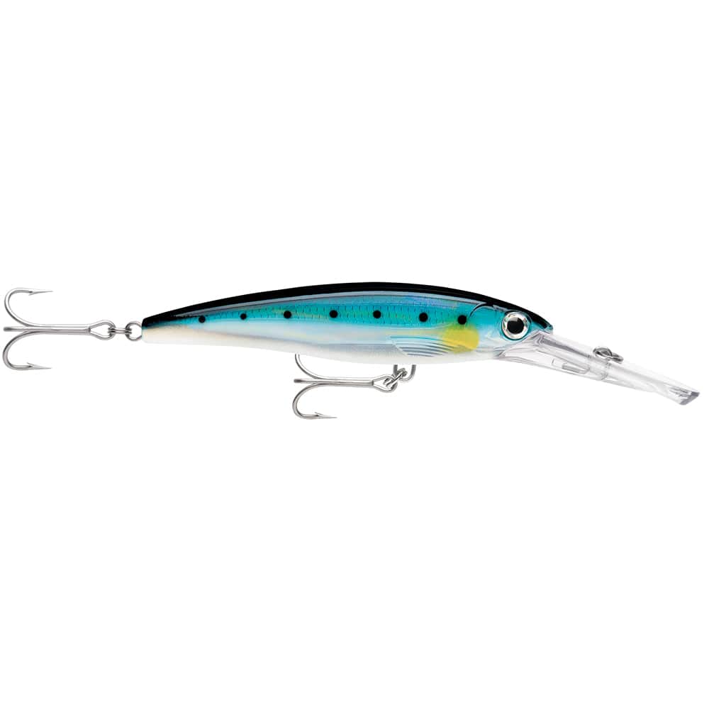 Rapala X-Rap Magnum 20 Sardine [XRMAG20BSRD] - The Happy Skipper