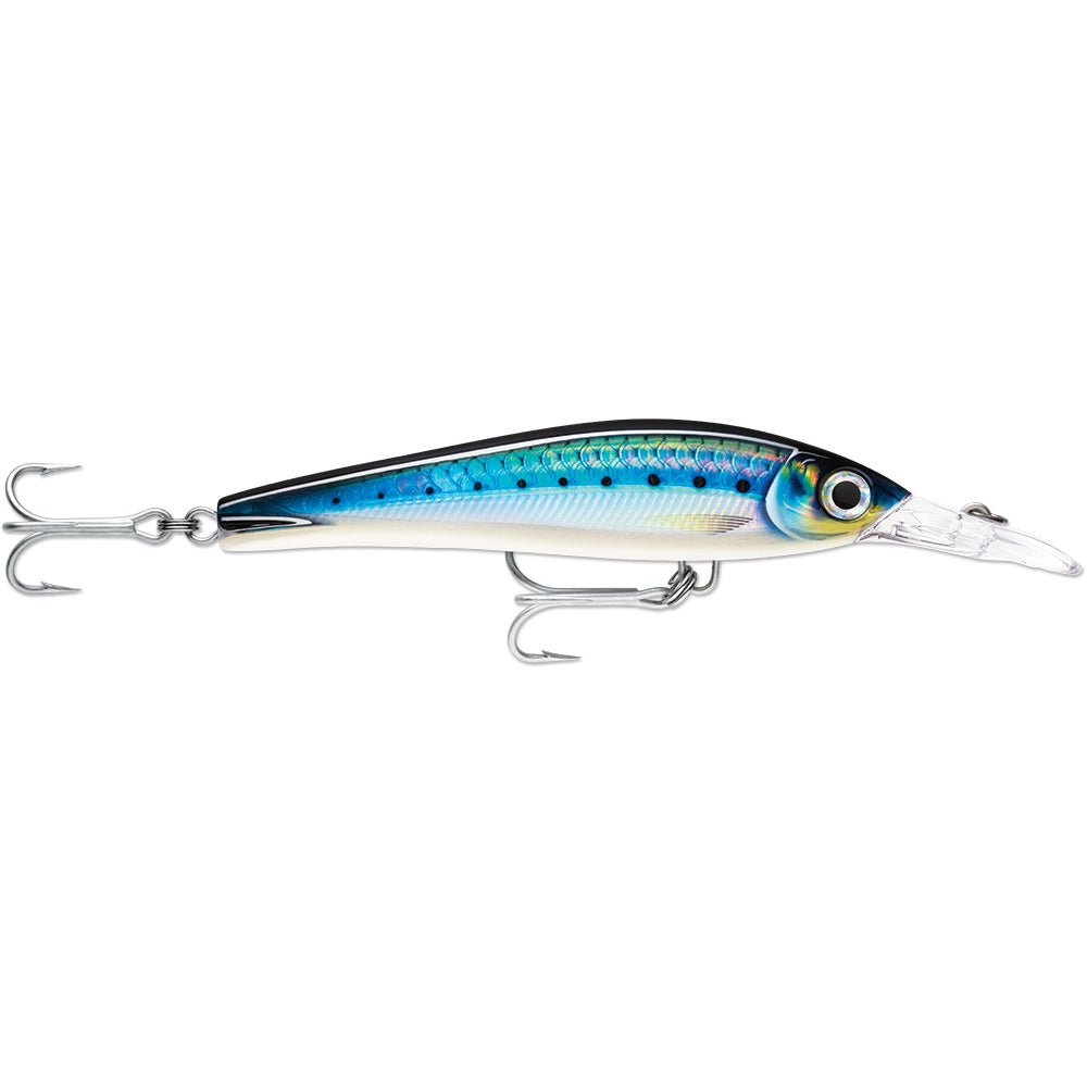 Rapala X-Rap Magnum Xtreme 6-1/4" HD Blue Sardine [XRMAGXT160HDBSRD] - The Happy Skipper