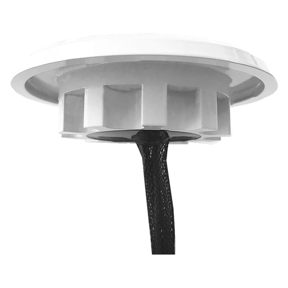 Shadow-Caster Downlight - White Housing - Bimini Blue [SCM-DLXS-BB-WH] - The Happy Skipper